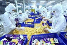 让越南商品在国际市场上亮剑