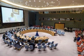 越南与联合国安理会：越南强调维和行动转型过渡进程需要符合每个国家的情况