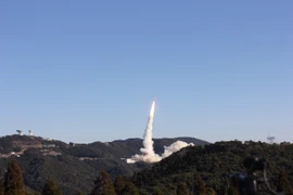 越南“微龙”卫星发射升空 顺利与火箭分离（组图）