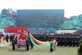 奠边省隆重举行奠边府大捷65周年庆典（组图）