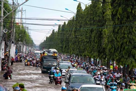 潮汐袭击芹苴市和胡志明市 导致多地淹水（组图）