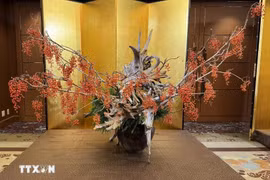 博览会上展出的产品。图自越通社