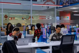 昆士兰州越南学生协会举行活动，为留学生提供咨询。图自越通社