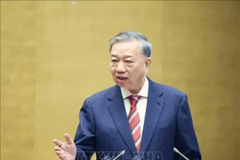 越共中央总书记苏林在会议上发言。图自越通社