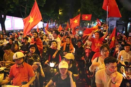 AFF Suzuki Cup 2018：越南球迷庆祝国足完胜菲律宾球队（组图）