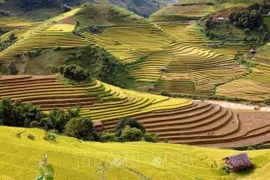 使梯田旅游成为西北地区的特殊旅游产品
