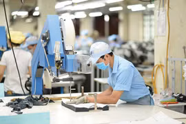 越南积极为各企业年终生产活动排忧解难