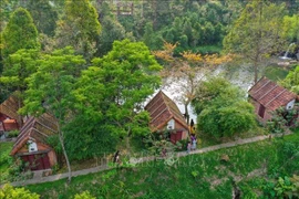 岘港市靠当地文化推动旅游发展