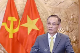 越共中央书记处书记、中央对外部部长黎怀忠接受记者的采访。图自越通社