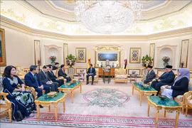 越南国会副主席阮克定会见文莱国王哈吉·哈桑纳尔·博尔基亚。图自越通社