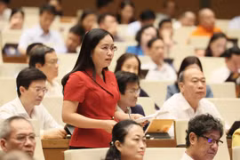 北件省国会代表发表讲话。图自越通社