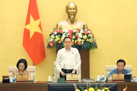 陈青敏在会上致开幕词。图自越通社