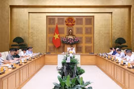越南政府副总理陈红河主持会议。图自越通社
