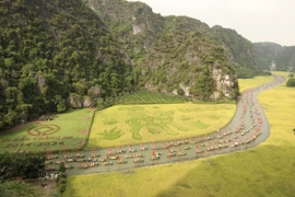 宁平省的美景。图自越通社