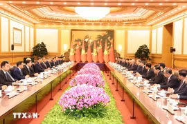 越共中央总书记、国家主席苏林与中共中央总书记、国家主席习近平举行会谈。图自越通社