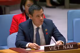 越南常驻联合国代表团团长邓黄江大使。图自越通社