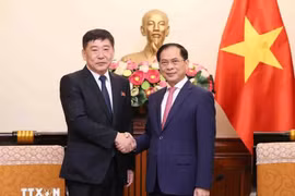 越南政府副总理兼外交部部长裴青山会见朝鲜外务省副相朴祥吉。图自越通社