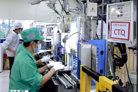 位于永福省平川工业园区的Youngbag越南公司是一家韩国独资企业。图自越通社