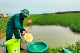 水稻+禾虫种养模式有助于推广有机农产品地价值。图自互联网