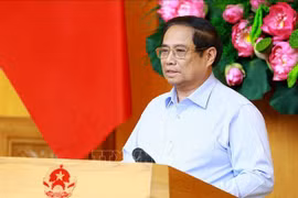 范明政在会上发言。图自越通社