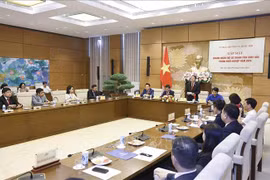 越南国会副主席阮德海发表讲话。图自越通社