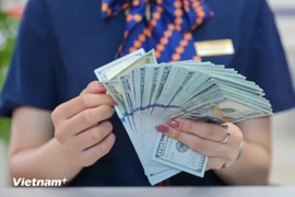 资料图。图自越通社