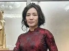 越南驻坦桑尼亚大使武青玄。图自越通社