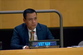资料图：越南常驻联合国代表团团长邓黄江大使。图自越通社
