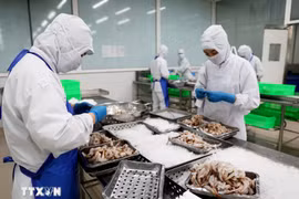 资料图。图自越通社