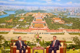 中共中央总书记、国家主席习近平邀请越共中央总书记、国家主席苏林参加茶叙。图自越通社