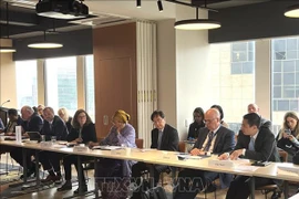 教育和终身学习之友小组大使级会议参会代表。图自越通社