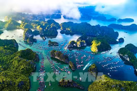 从高处俯瞰的吉婆岛美景。图自越通社