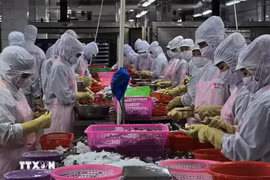 资料图。图自越通社