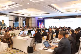 第56届东盟经济部长会议及相关会议场景。图自越通社