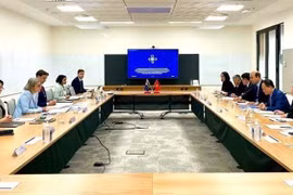 越南科学与技术部与澳大利亚工业、科学和资源部举行工作会谈场景。图自越通社