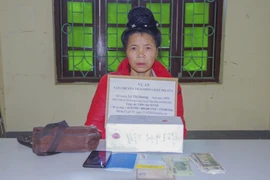 奠边省破获一起跨境运输5000块合成毒品案