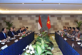 越南政府总理阮春福与印尼总统举行会谈