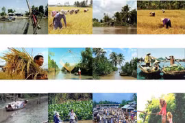 九龙江三角洲地区为全国GDP总额贡献18%