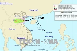 第四号台风登陆清化省并减弱为热带低压 