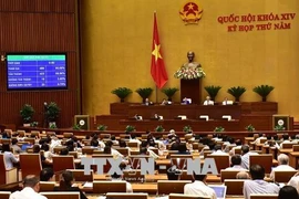 越南第十四届国会第五次会议：确保网络空间的信息安全