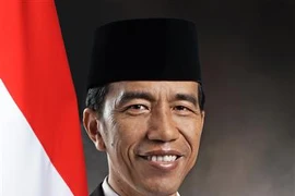 印度尼西亚总统开始对越南进行国事访问