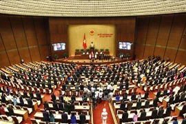越南国会代表对推荐阮富仲总书记供国会选举国家主席达成高度共识
