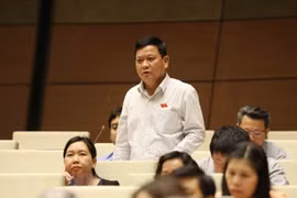 越南第十四届国会第五次会议：质询和答复质询活动质量日益提高