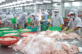 2018年第一季度前江省出口额猛增