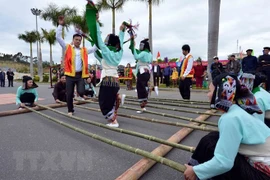 山罗旅游文化周亮相首都河内