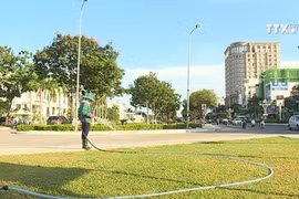 园林工人长期高温作业 守护好城市绿色空间