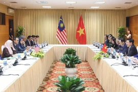 越南政府副总理范平明与马来西亚副总理旺·阿兹莎举行会谈