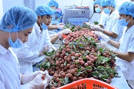 越南有望跻身世界五大农产品出口国家榜单