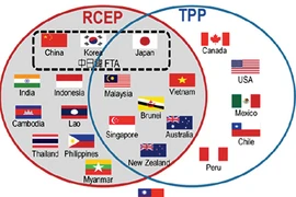 新加坡和印度尼西亚敦促印度加速RCEP谈判