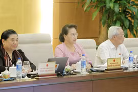 国会常委会第25次会议：批准关于任命越南驻外特命全权大使的建议书
